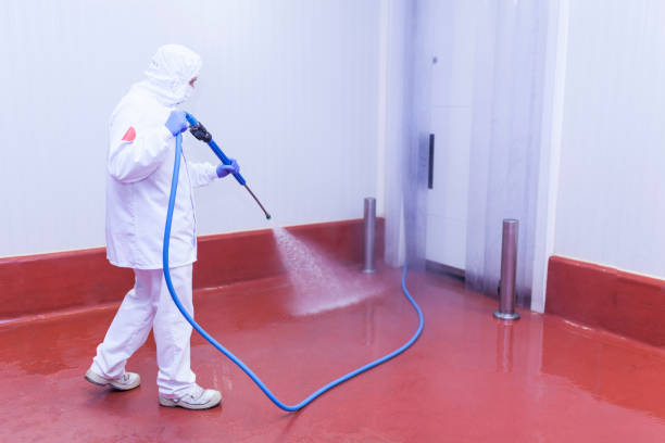Trusted Olyphant, PA Pressure Washing Services Experts
